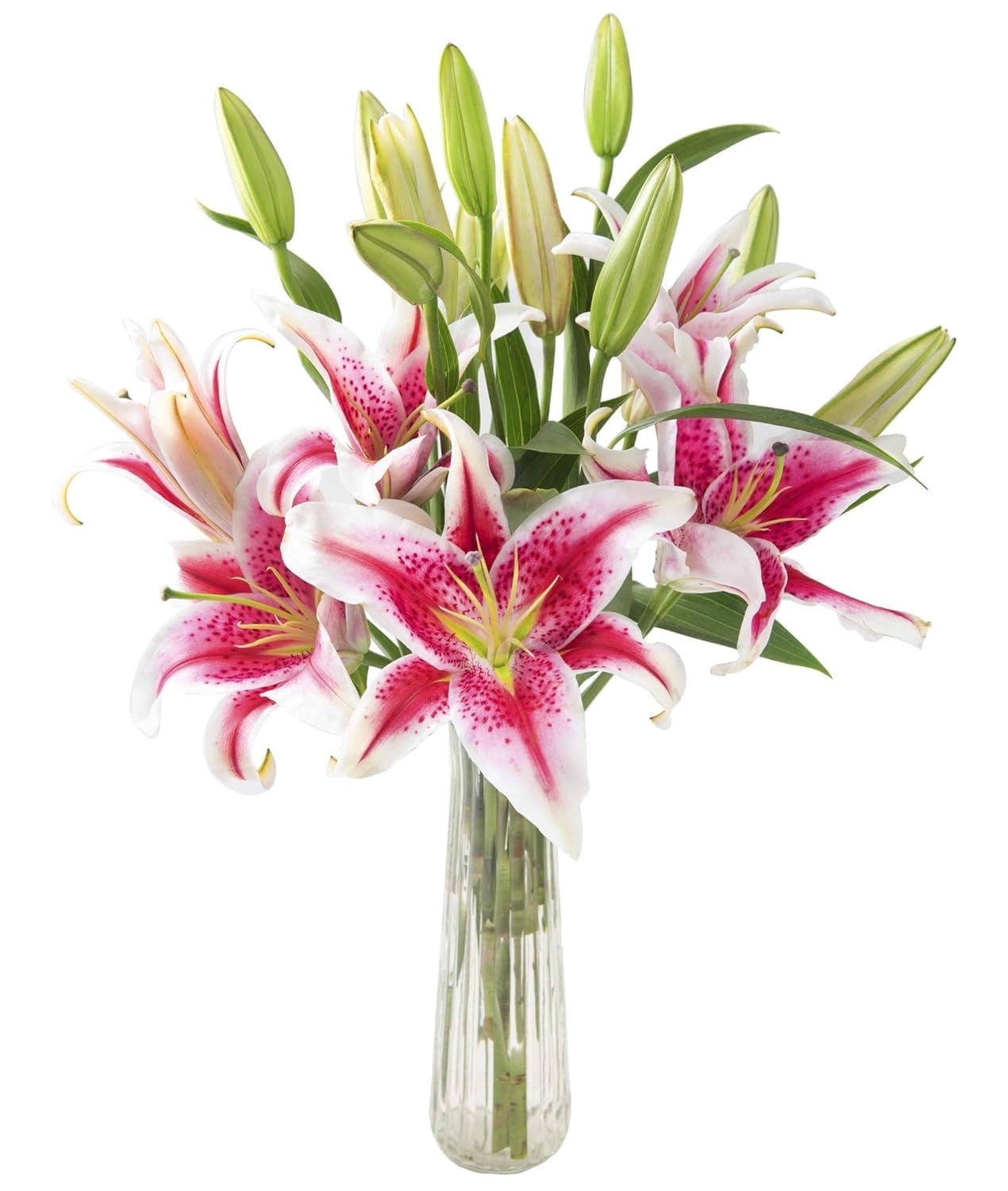 KaBloom Fresh Cut Flowers Bouquet of 5 Pink Lilies without Vase, Fragrant, Gift for all occasions