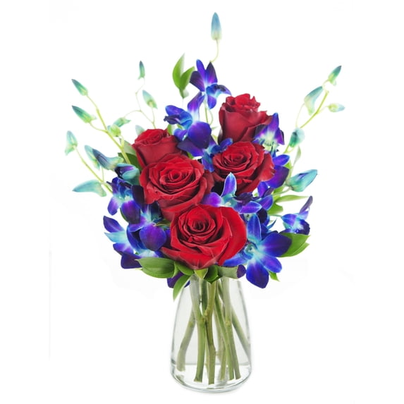 KaBloom : Fresh Red Roses and Exotic Blue Orchids with Vase, Next-Day Delivery