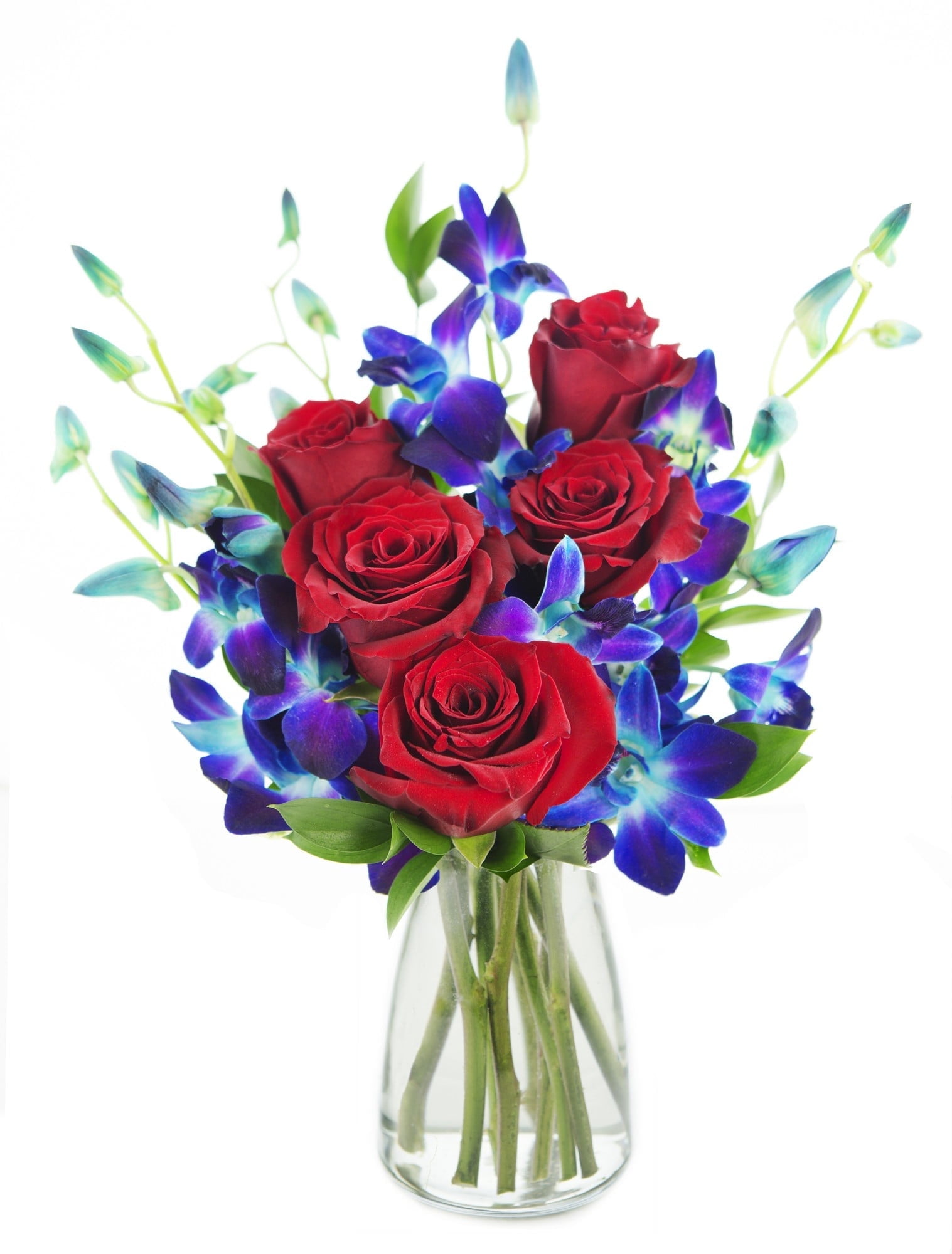 KaBloom : Fresh Red Roses and Exotic Blue Orchids with Vase, Next-Day Delivery