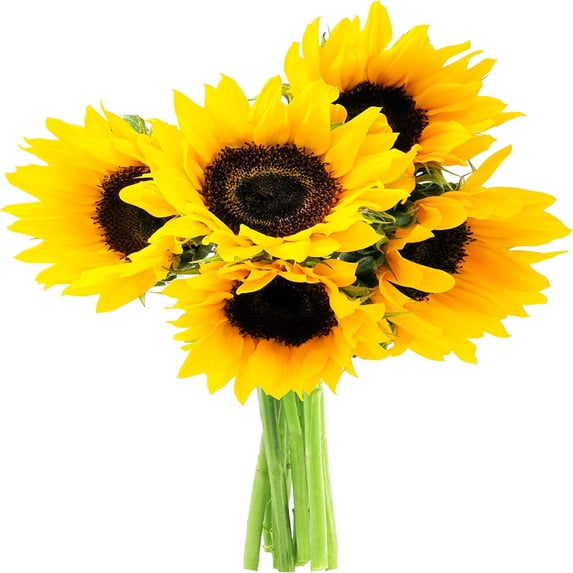 KaBloom : Happy Days 5 Sunflower Bouquet with Vase, Next-Day Delivery, Gift for Every Occasion