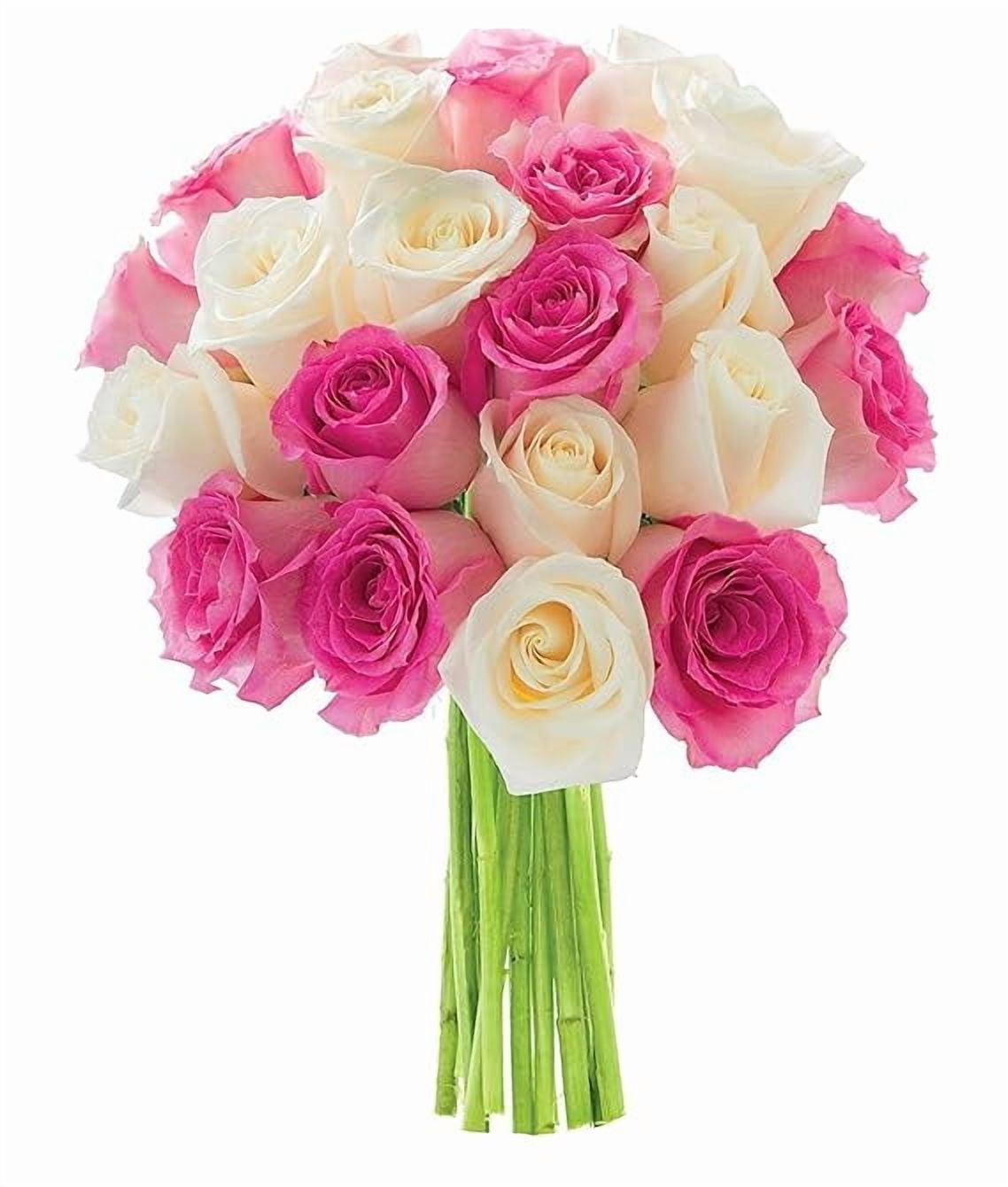 KaBloom : Mothers Day Collection - Whispers of Serenade Bouquet of 9 Pink Rose 9 White Rose.Gift for Birthday, Sympathy, Anniversary,Valentine, Mothers Day Fresh Flowers