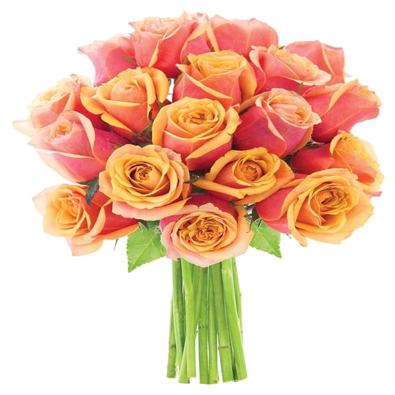 KaBloom :Orange Roses 18 with Greens , Next-Day Delivery, Gift for Every Occasion.