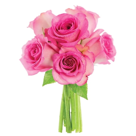 KaBloom : Pink Roses 6 with Greens Bouquet, Next-Day Delivery, Gift for Every Occasion