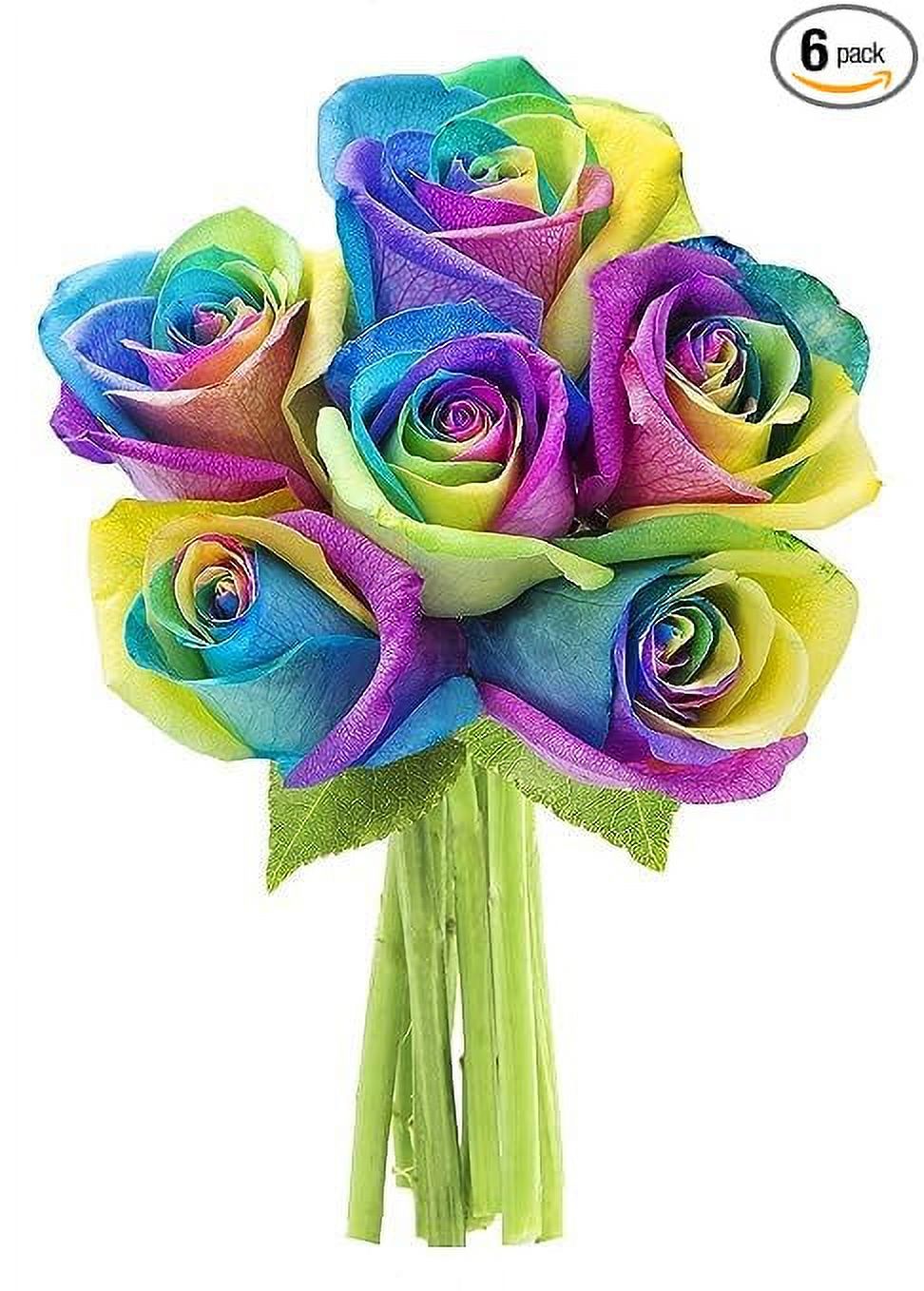 AMAZING KaBloom Pride Collection Bouquet of 6 Freshly cut Rainbow