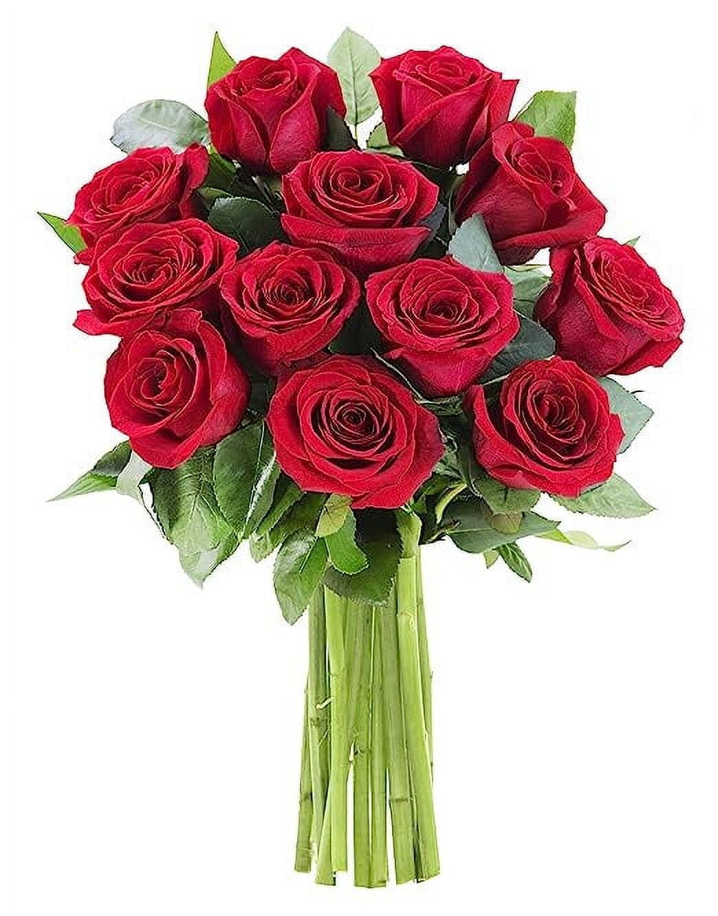 KaBloom : 12 Red Roses with vase, Next-Day Delivery, Gift for Every Occasion.