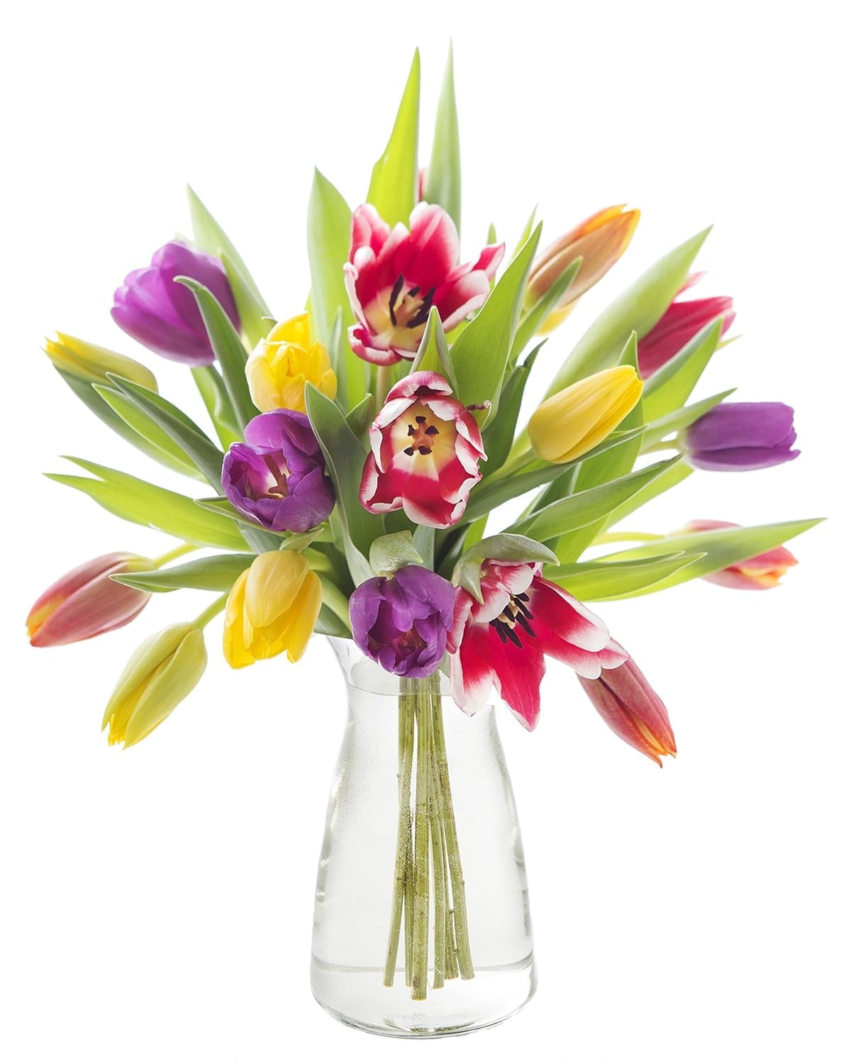 KaBloom : Bouquet of Fresh Rainbow of 10 Mixed Tulips in a Glass Vase, Next-Day Delivery