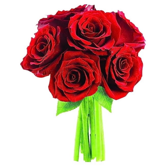 KaBloom : Red Roses 6 with Greens Bouquet, Next-Day Delivery, Gift for Every Occasion