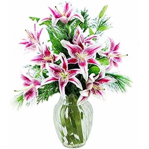 KaBloom : 5 Red Stargazer lily with vase, Next-Day Delivery, Gift for Every Occasion.