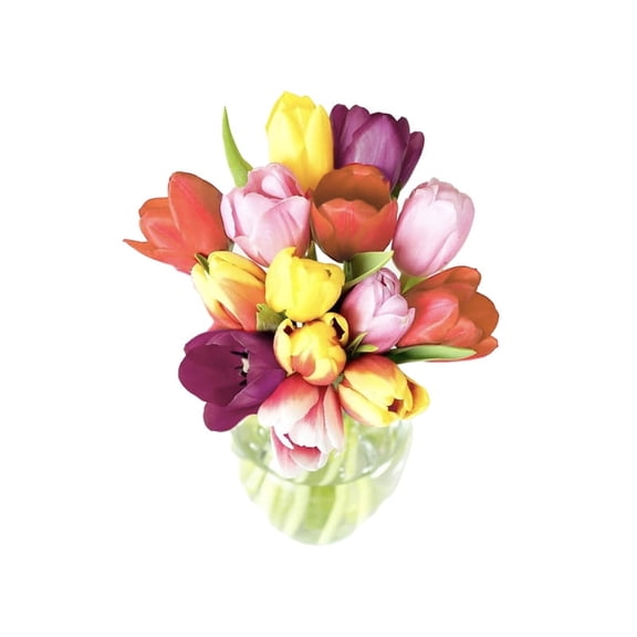 KaBloom-Tulip Rainbow 15 stems -Gift for Every Occasion.