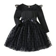thumbnail image 1 of KaLI_store Girls Flowy Dress Winter Toddler Girl Clothes Long Sleeve Girls Dresses for Kids Black,3-4 Years, 1 of 5