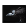 thumbnail image 1 of KaMerA 'Targeted' Canvas Art, 1 of 4