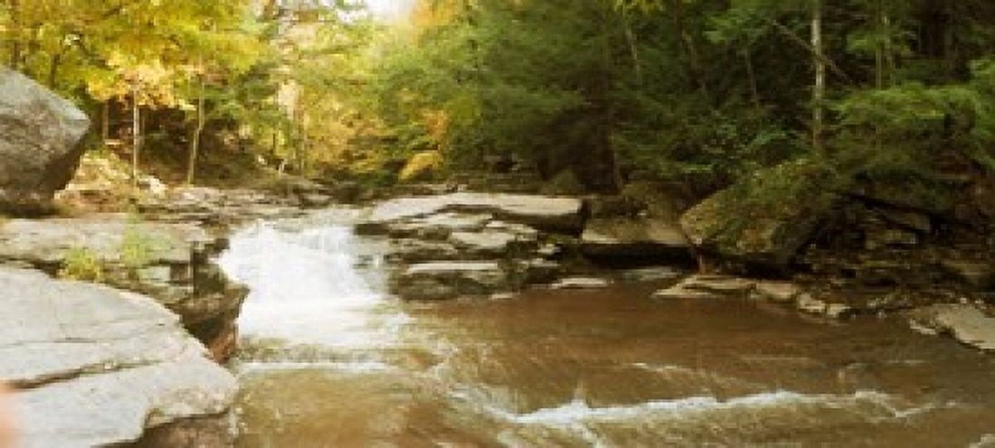 Kaaterskill Falls stream through the forest of the Catskill Mountains New York State USA Canvas Art - Panoramic Images (15 x 7)