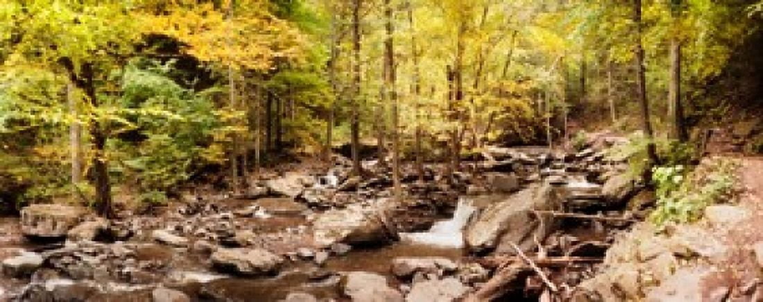 Kaaterskill Falls stream through the forest of the Catskill Mountains New York State USA Canvas Art - Panoramic Images (30 x 12)
