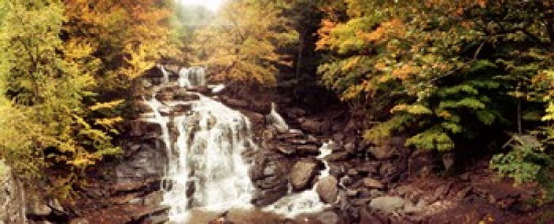 Kaaterskill Falls stream through the forest of the Catskill Mountains New York State USA Canvas Art - Panoramic Images (30 x 12)