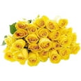 KaBloom Fall CollectionBouquet of 24 Yellow Roses in vase,NextDay
