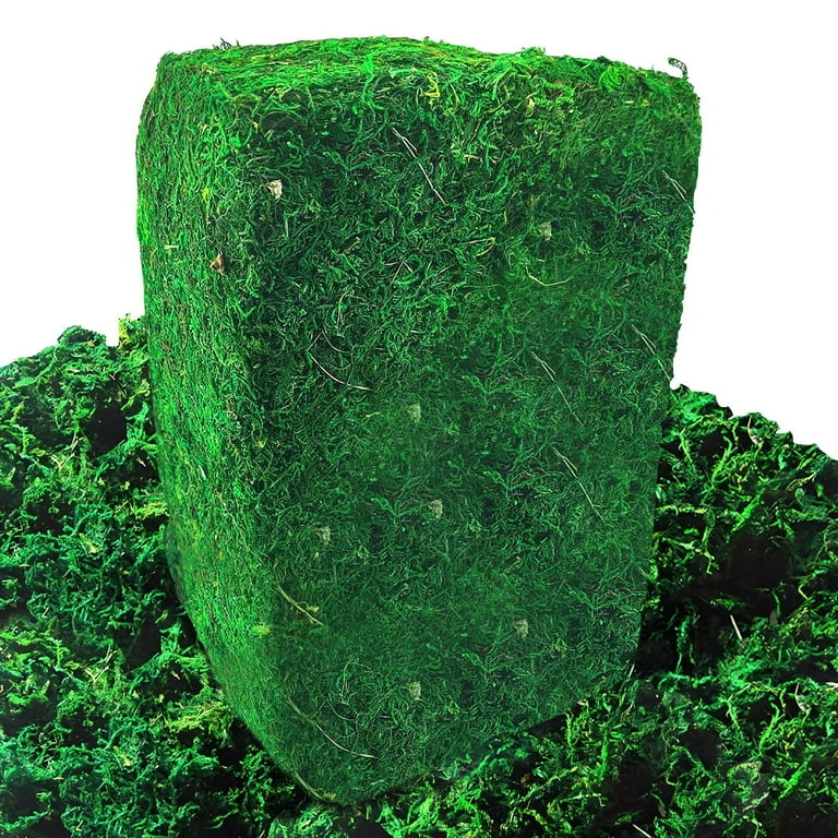 Kabuer Artificaial Fake Moss, 10oz Moss for Arts and Craft