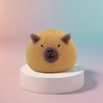 thumbnail image 1 of Kadlawus Under $5 ! Bath Sponge Ball Soft Body Scrub Exfoliating Face Wash Enhanced Lather Gentle Skin Care Bathing Accessory Gift Set Luxury Experience, 1 of 4