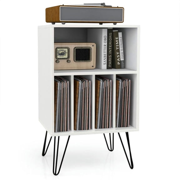 Kadyn Filing Storage Organizer,File Storage Organizer,File Cabinet,Freestanding Record Player Stand Record Storage Cabinet with Metal Legs-White