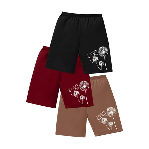 Kaemgyyd Womens 3 Pack Yoga Lounge Shorts Elastic Waist Casual Shorts Workout Jogging Sweat Shorts for Women