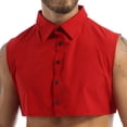 thumbnail image 1 of Kaerm Fake Collar Detachable Dickey Collar Blouse for Men Half Shirt Faux False Collar Joker Shirt Decorative Collar Burgundy 37, 1 of 7