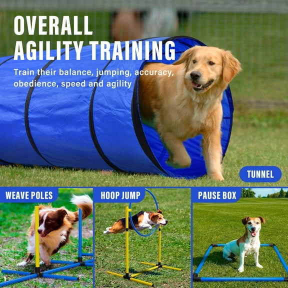 Kagrote Foldable Dog Agility Equipment - Hoop Jump, Hurdles, Pause Box & Carry Bag for Indoor/Outdoor Training
