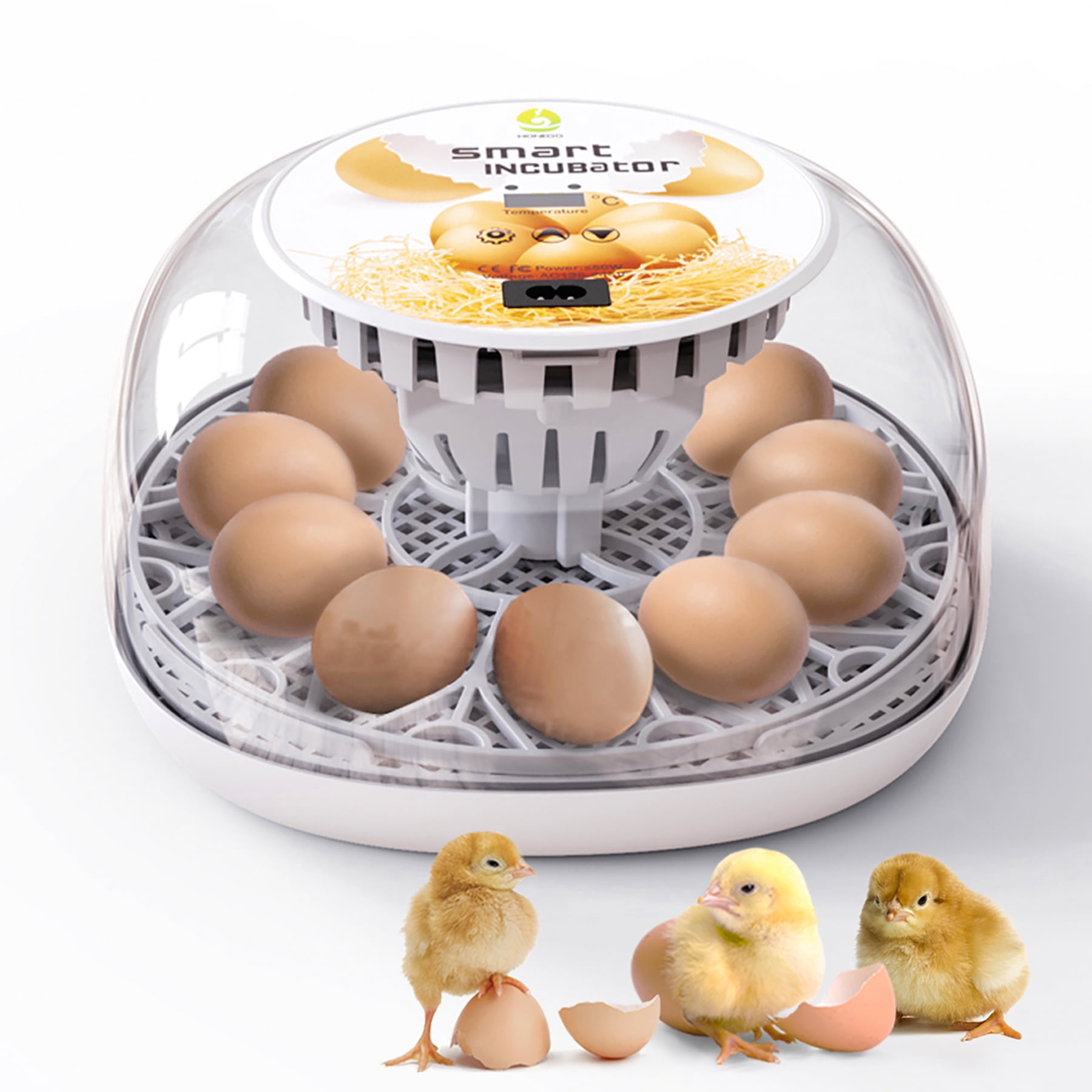 Buy Egg Incubator, 6 Eggs Hatcher Poultry Hatching Machine With - View #9