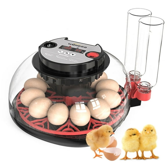 Kahopy 12 Egg Incubators for Hatching Eggs, Egg Incubator with Automatic Egg Turning and Humidity Control, Poultry Incubator for Hatching Chicken, Duck, Quail, Pigeon, Bird, Goose Eggs(Black)