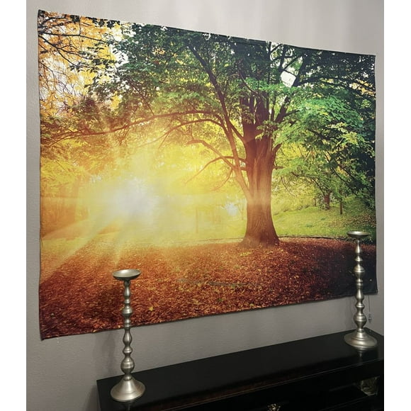 KaiSha LED Tapestry Wall Hanging; Boho Mandala Psychedelic Art Home Dcor; Large Bohemian Artwork (79"x59")