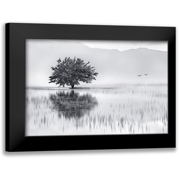 Kaimaki, Maria 24x17 Black Modern Framed Museum Art Print Titled - Spring Mirror
