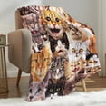 thumbnail image 1 of Kainsy Cat Throw Blanket Flannel Fleece Cat Blanket Cat Lovers Gifts for Women Kids Cat Blanket for Couch Bed Cat Themed Gifts Cat Lover Blanket inches(30"x40"), 1 of 7