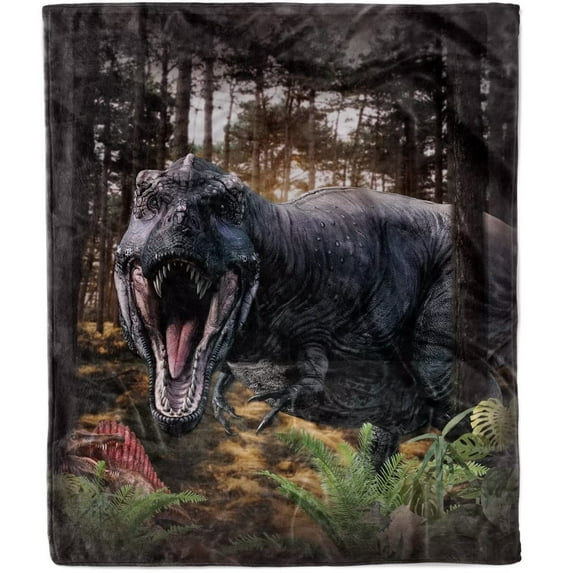 Kainsy Dinosaur Flannel Fleece Throw Blanket - Lightweight & Warm 3D Dinosaur Design - Soft & Cozy Blanket for Couch, Sofa, Teenager Gifts, Travel, Beach(30"x40")