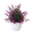 thumbnail image 1 of Kaireo Mini Artificial Greenery Potted Plant, Elegant Fake Plant in White Plastic Pot for Home Shelf, Bathroom and Indoor Space Styling Decor, 1 of 3