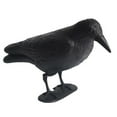 Kairuite Plastic Crow Hunting Decoys for Hunting Yard Garden Decoration