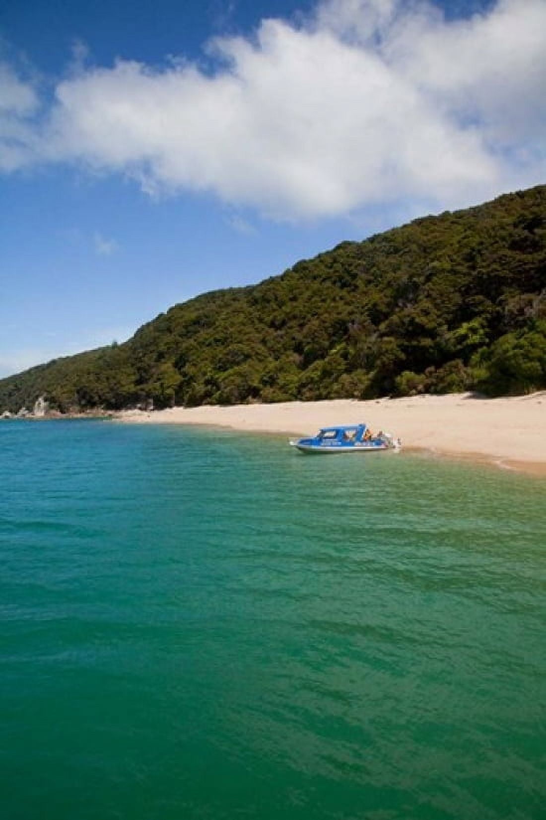 Kaiteriteri Beach Abel Tasman Park New Zealand Canvas Art - Douglas Peebles DanitaDelimont (19 x 29)
