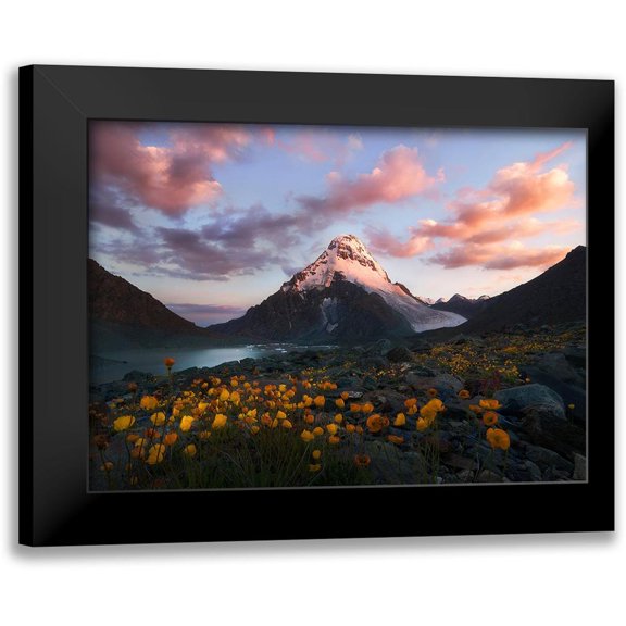 Kaka 14x11 Black Modern Framed Museum Art Print Titled - E?Paemmacsc??AdÂCÂNaandsup3;D