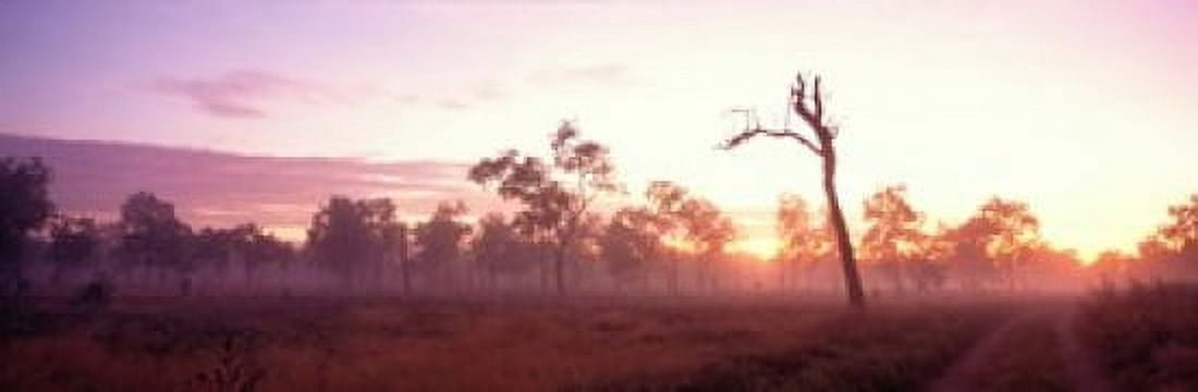 Kakadu National Park Northern Territory Australia Canvas Art - Panoramic Images (18 x 6)