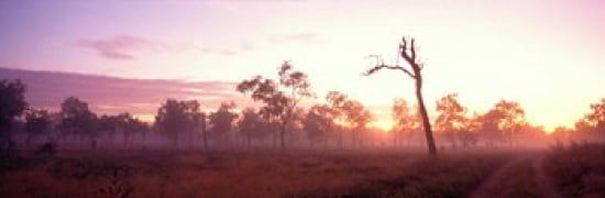 Kakadu National Park Northern Territory Australia Canvas Art - Panoramic Images (36 x 12)