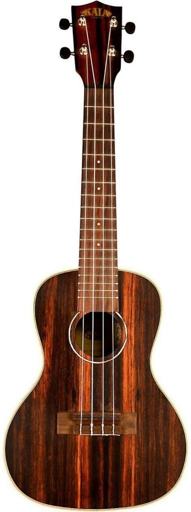 Kala KA-EBY-C Ebony Concert Ukulele