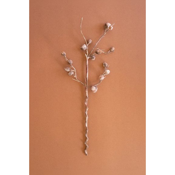 Kalalou Botanica Curved Pod Branch 36" H Artificial Botanical Decor