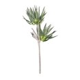 thumbnail image 1 of Kalalou CLX3110 47 in. No.3110 Botanica Decor - Case of 6, 1 of 1
