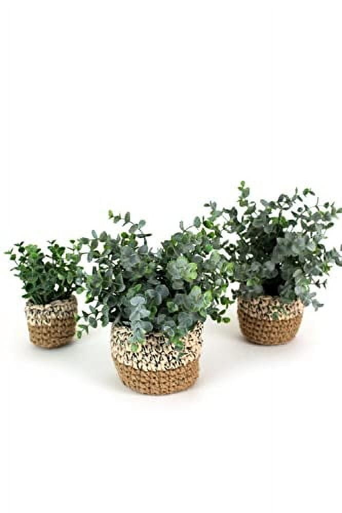 Trio of Lifelike Eucalyptus Greenery in Handwoven Pots