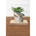 thumbnail image 1 of CERAMIC SHARK PLANTER, 1 of 3