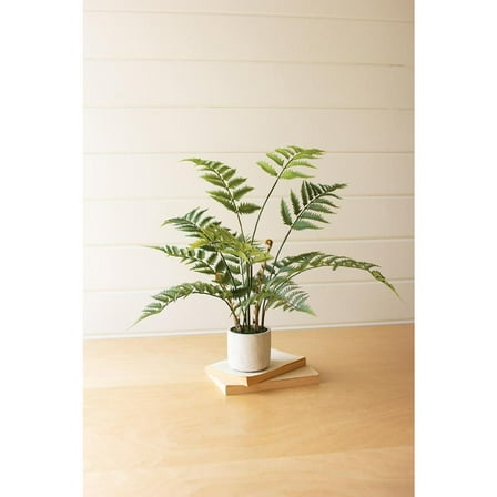 Kalalou Inc Artificial Fern In A Cement Pot