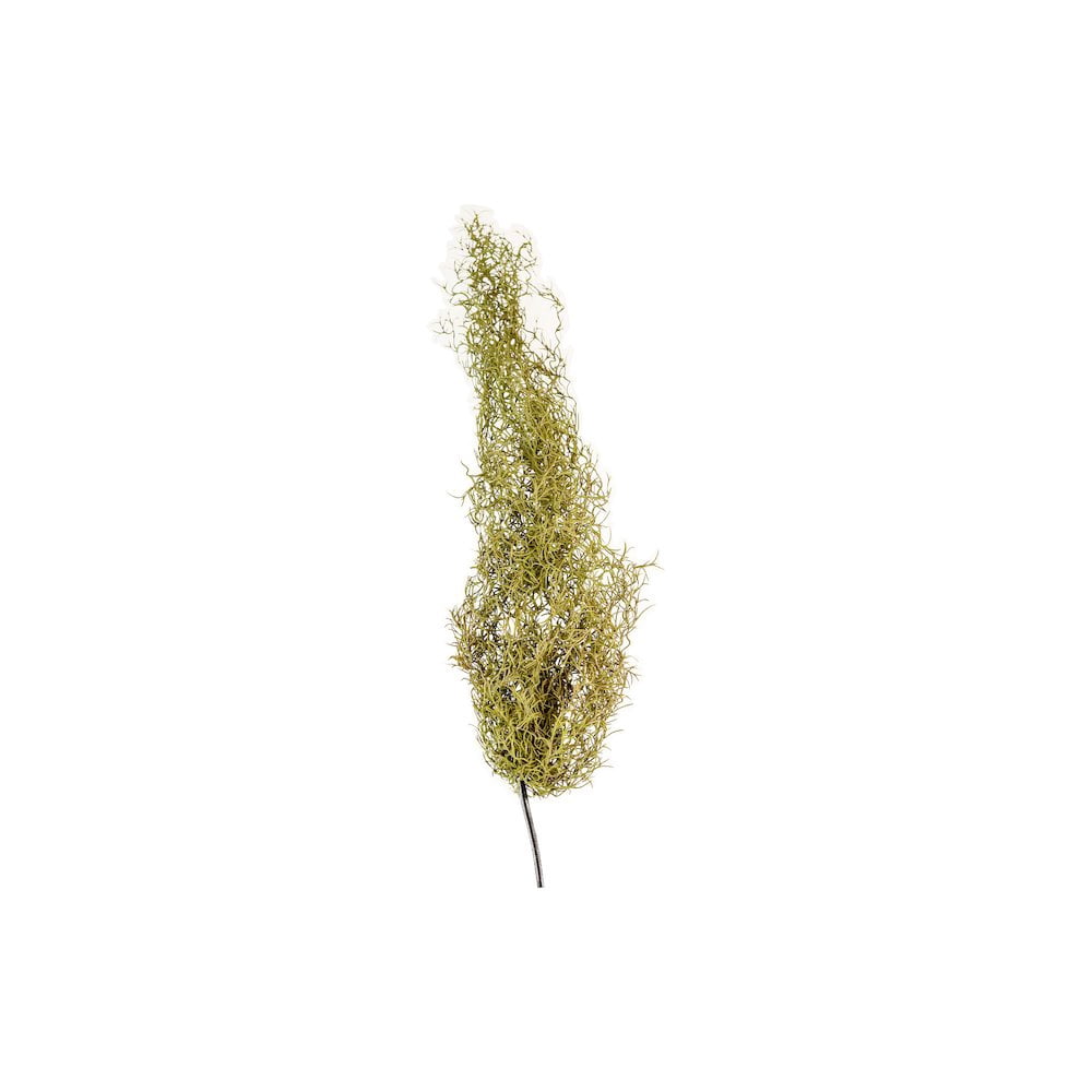 Kalalou Inc Artificial Grey Moss