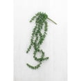 thumbnail image 1 of Kalalou Inc Artificial Necklace Fern Succulent, 1 of 3