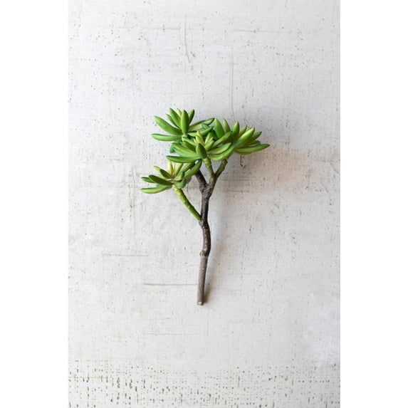 ARTIFICIAL SUCCULENT STEM