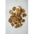 thumbnail image 1 of Kalalou Inc Bag Of 48 Dried Sponge Mushrooms, 1 of 4