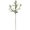 thumbnail image 1 of Kalalou Inc Botanica #2065, 1 of 2
