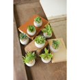 thumbnail image 1 of Kalalou Succulents, Set of 8, 3.25\"D x 2.25\"W x 2.25\"H, Green, 1 of 3
