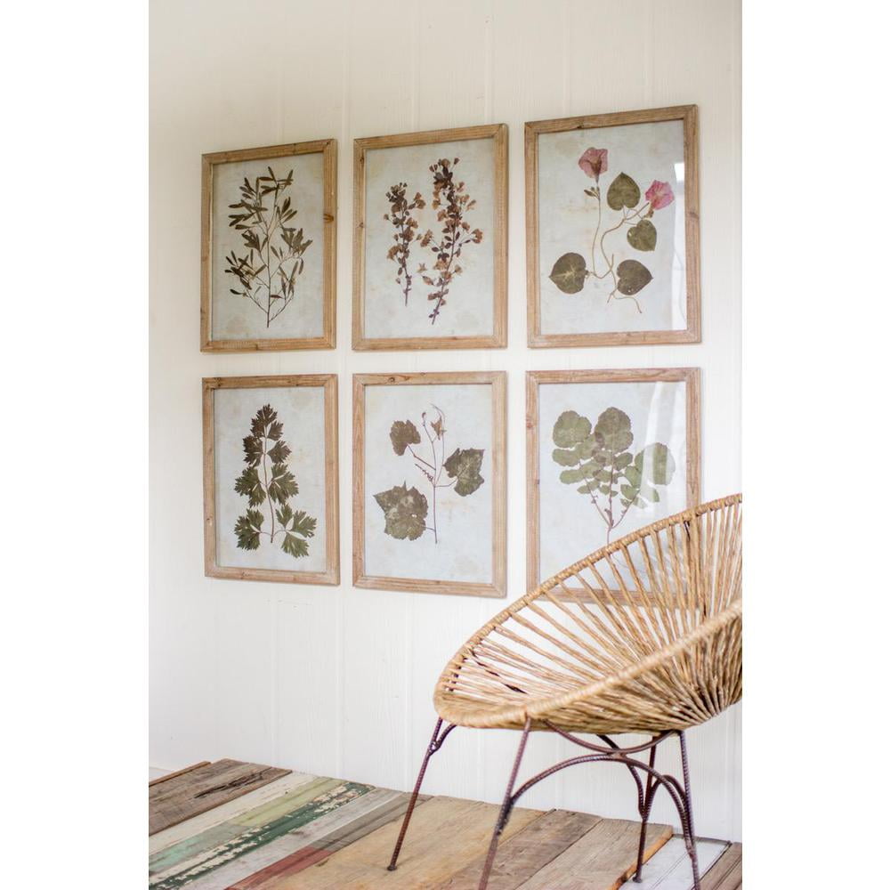 Set of 6 Botanical Leaf Prints Under Glass with Wooden Frames